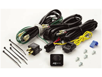 Accessories-Bulbs/Switch Kits